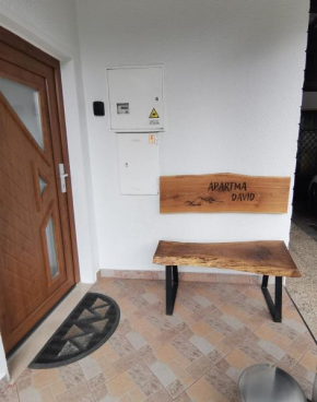 Apartma David